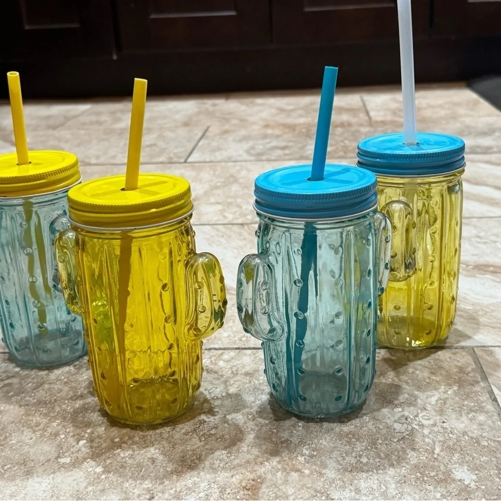 Colorful Cactus Mason Jar‎ Set
